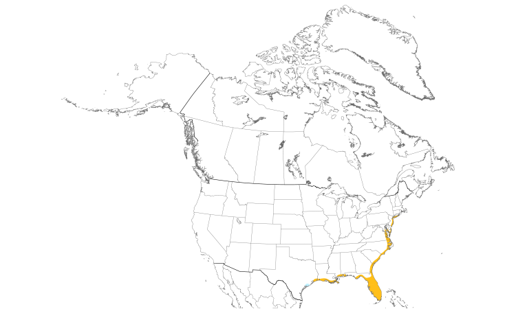 Range Map (North): Boat-tailed Grackle