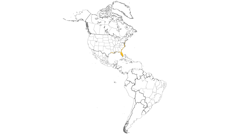 Range Map (Americas): Boat-tailed Grackle