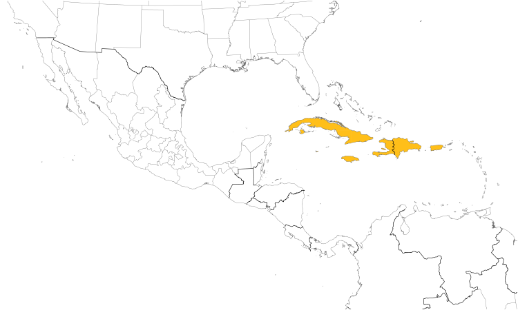 Range Map (Central): Greater Antillean Grackle