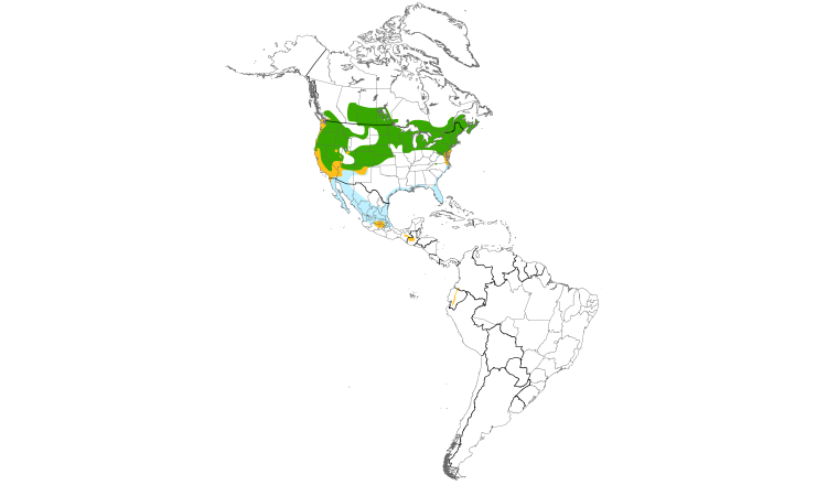 Range Map (Americas): Virginia Rail