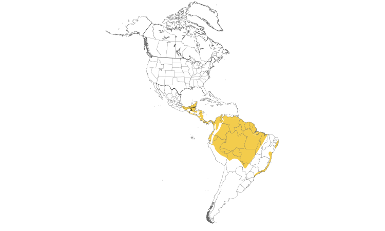 Range Map (Americas): Long-billed Gnatwren