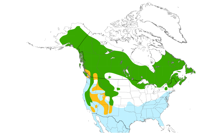Range Map (North): Ruby-crowned Kinglet
