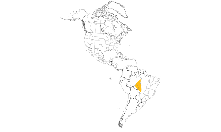 Range Map (Americas): White-breasted Antbird