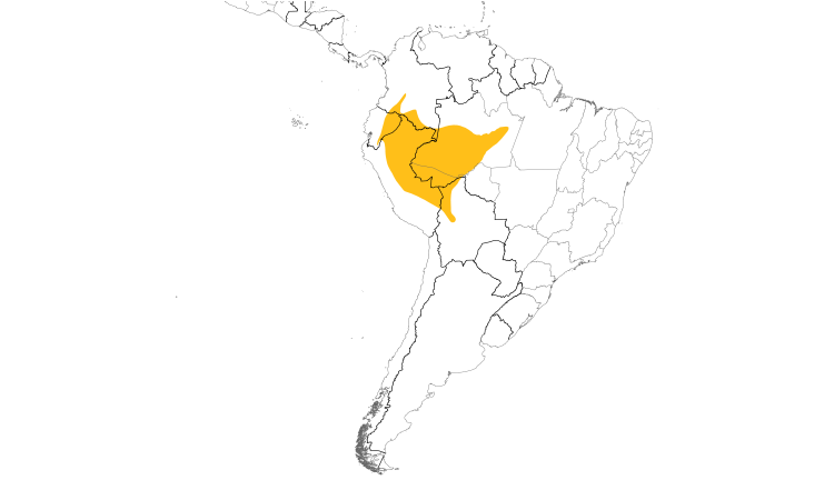 Range Map (South): Hairy-crested Antbird