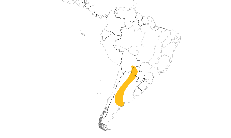 Range Map (South): Crested Gallito