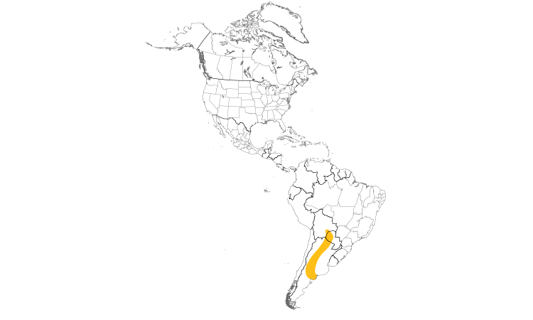 Range Map (Americas): Crested Gallito