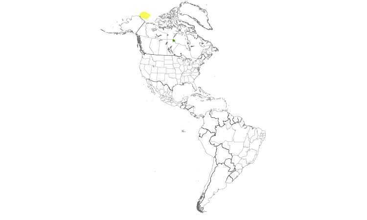 Range Map (Americas): Ross's Gull