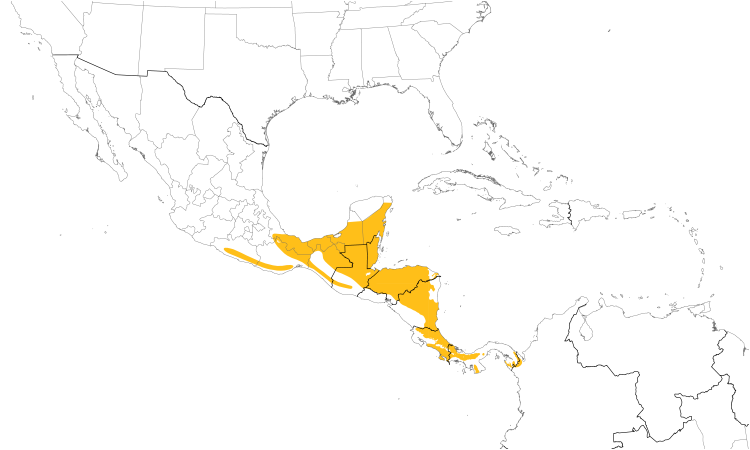 Range Map (Central): Eye-ringed Flatbill
