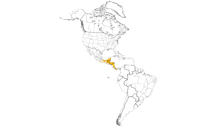 Range Map (Americas): Eye-ringed Flatbill