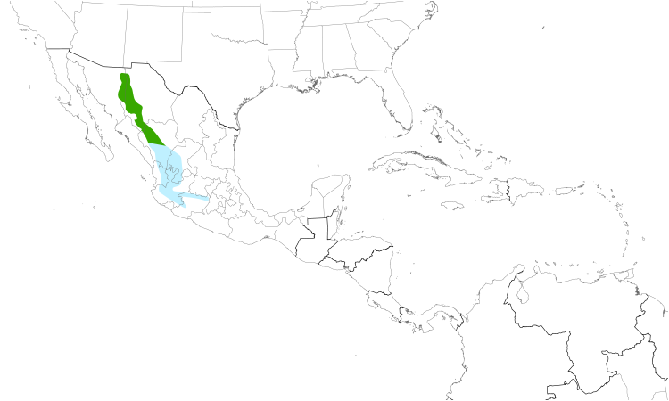 Range Map (Central): Thick-billed Parrot