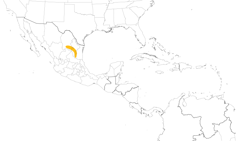 Range Map (Central): Maroon-fronted Parrot