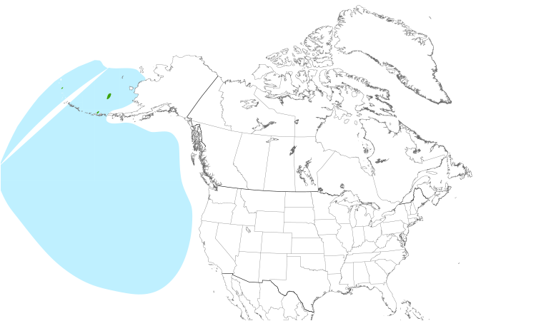 Range Map (North): Red-legged Kittiwake