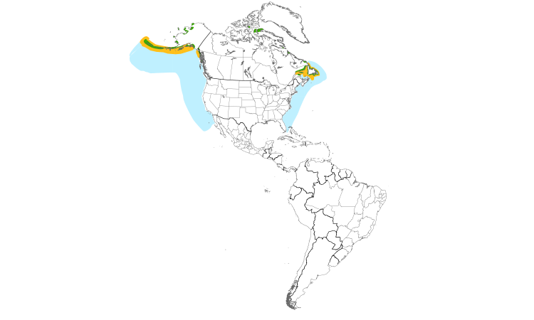Range Map (Americas): Black-legged Kittiwake