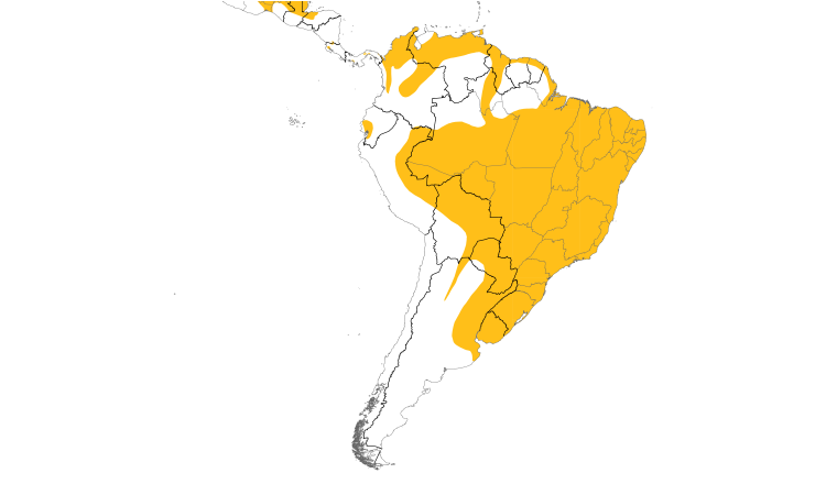 Range Map (South): Snail Kite