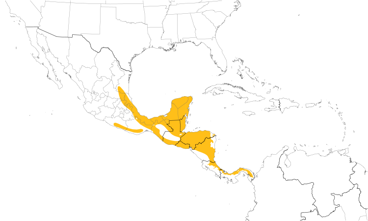Range Map (Central): Black-headed Saltator