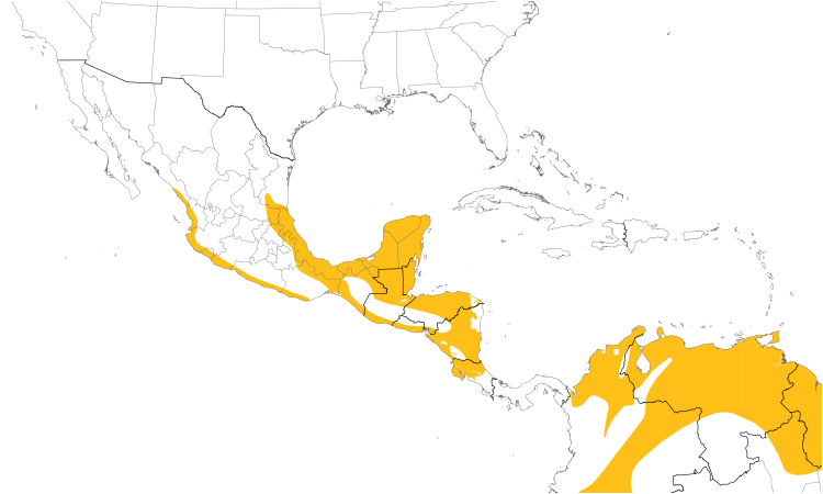 Range Map (Central): Grayish Saltator