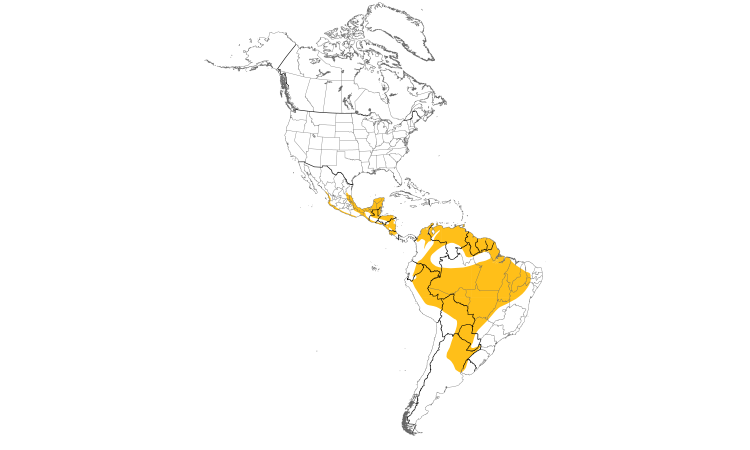 Range Map (Americas): Grayish Saltator