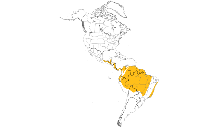 Range Map (Americas): Buff-throated Saltator