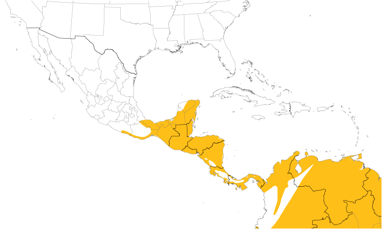 Range Map (Central): King Vulture