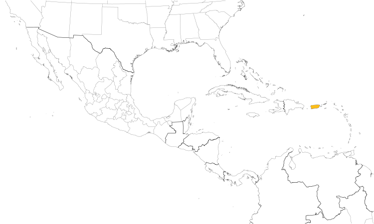 Range Map (Central): Puerto Rican Lizard-Cuckoo