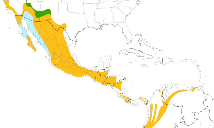 Range Map (Central): Black Phoebe