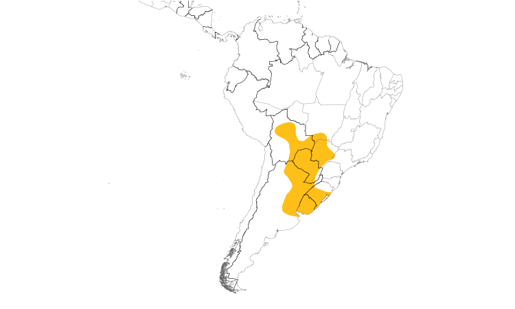 Range Map (South): Chotoy Spinetail