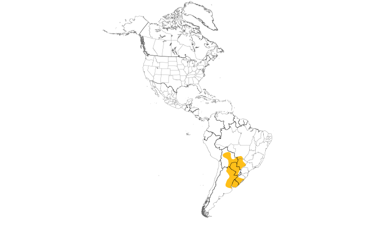 Range Map (Americas): Chotoy Spinetail