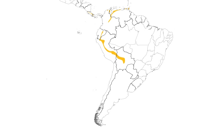 Range Map (South): Gray-throated Leaftosser