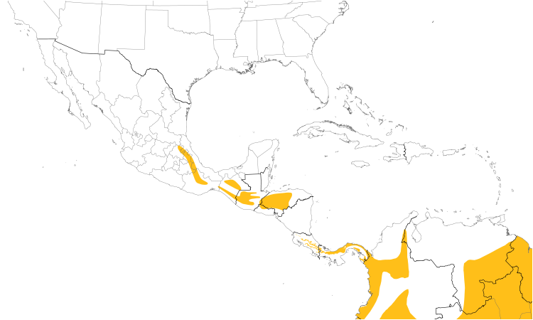 Range Map (Central): Tawny-throated Leaftosser