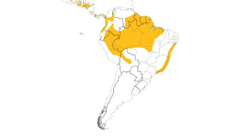 Range Map (South): Tawny-throated Leaftosser