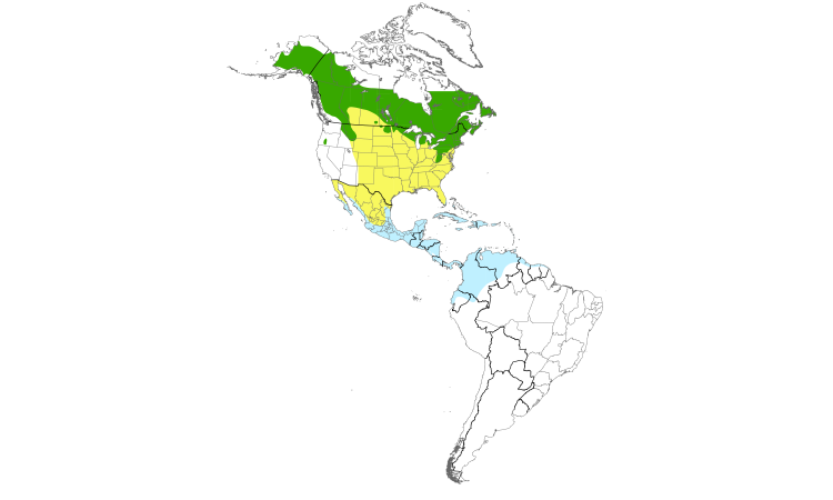 Range Map (Americas): Northern Waterthrush
