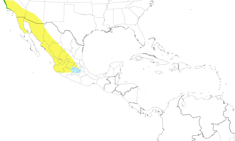 Range Map (Central): Allen's Hummingbird