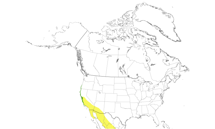 Range Map (North): Allen's Hummingbird