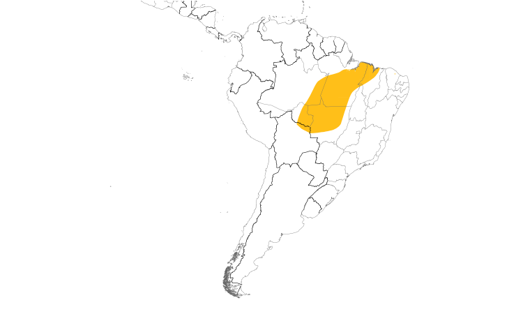 Range Map (South): Gould's Toucanet