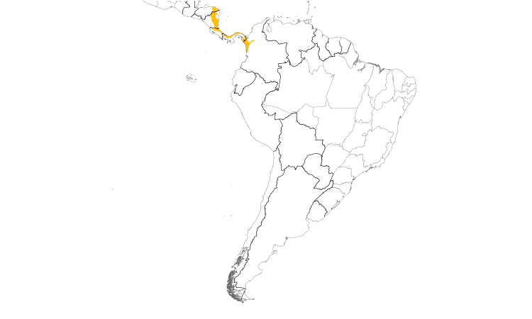 Range Map (South): Yellow-eared Toucanet