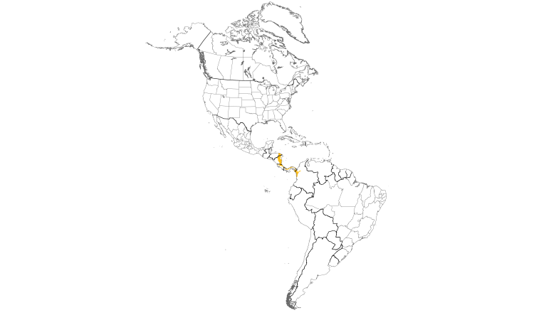Range Map (Americas): Yellow-eared Toucanet