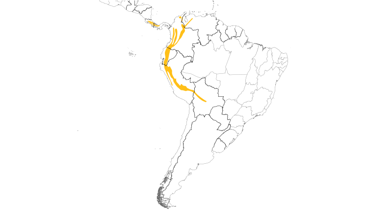 Range Map (South): Torrent Tyrannulet
