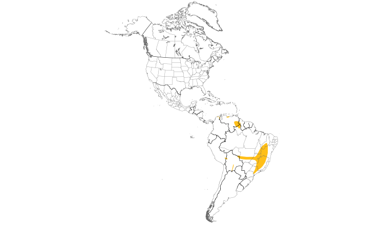 Range Map (Americas): Stripe-tailed Yellow-Finch