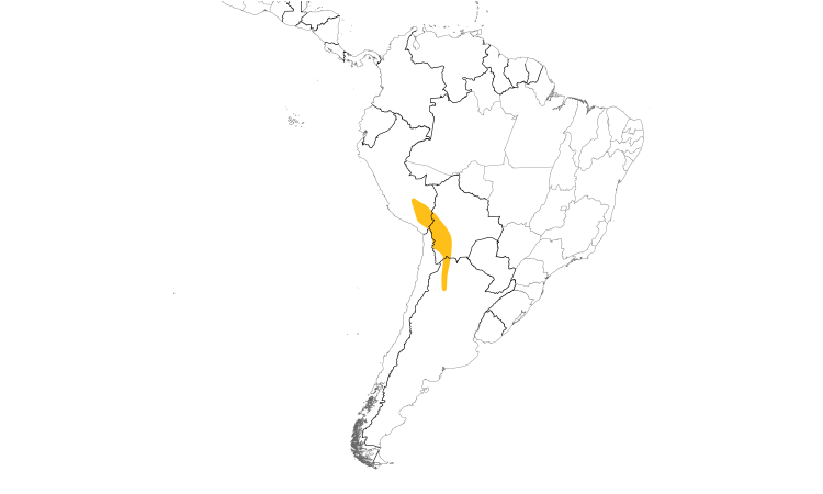 Range Map (South): Puna Yellow-Finch