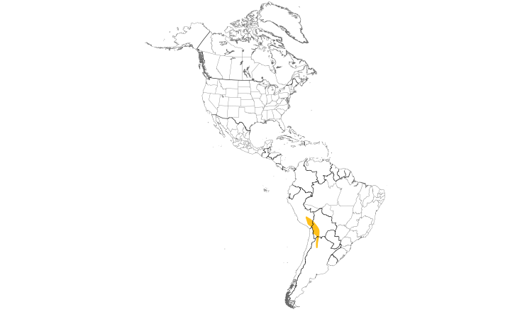 Range Map (Americas): Puna Yellow-Finch