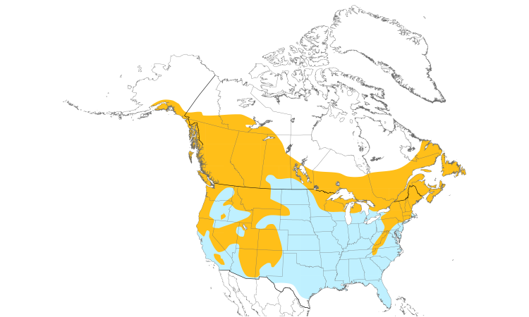 Carte de répartition  (North): Sittelle à poitrine rousse
