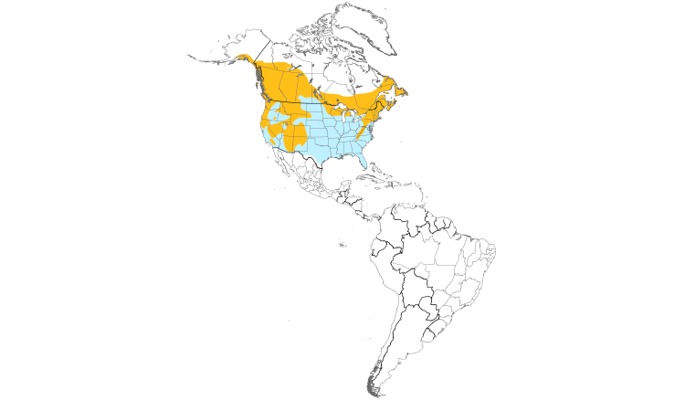 Carte de répartition  (Americas): Sittelle à poitrine rousse