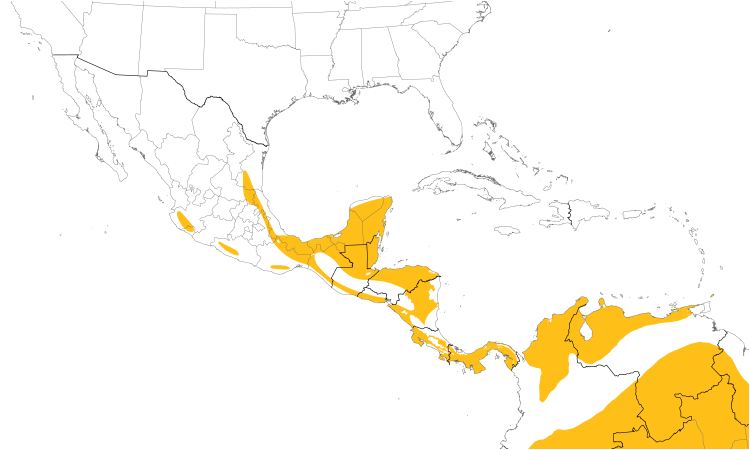 Range Map (Central): Olivaceous Woodcreeper