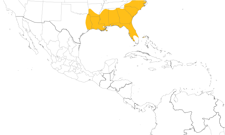 Range Map (Central): Brown-headed Nuthatch