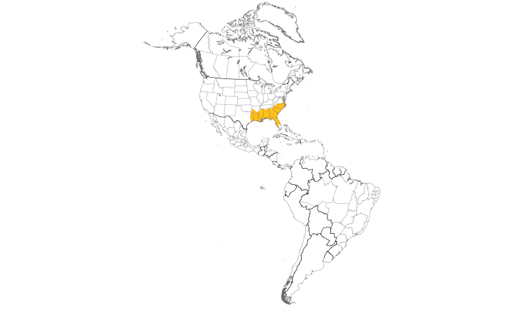 Range Map (Americas): Brown-headed Nuthatch