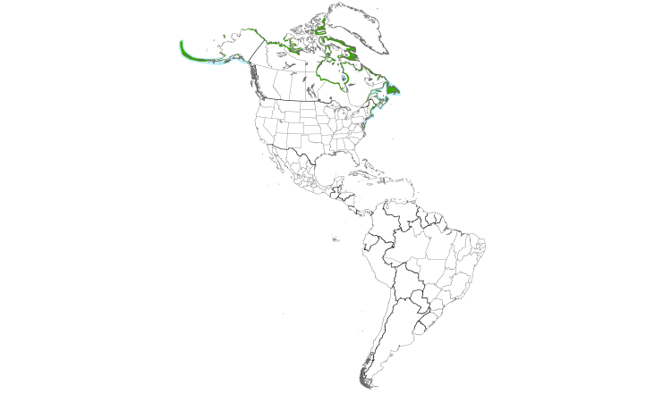 Range Map (Americas): Common Eider