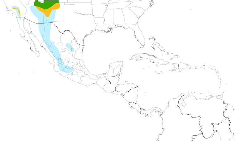 Range Map (Central): Williamson's Sapsucker