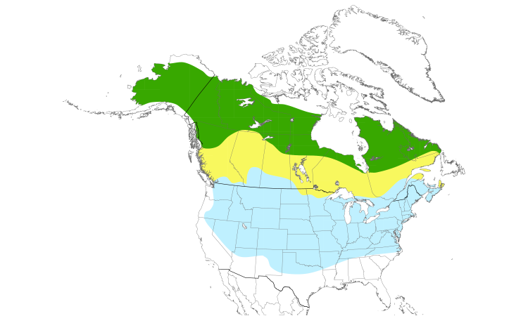 Carte de répartition  (North): Bruant hudsonien