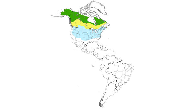 Carte de répartition  (Americas): Bruant hudsonien