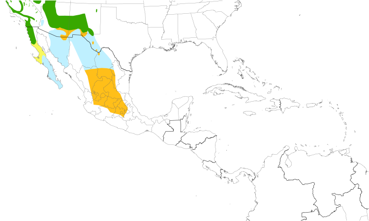 Range Map (Central): Black-chinned Sparrow